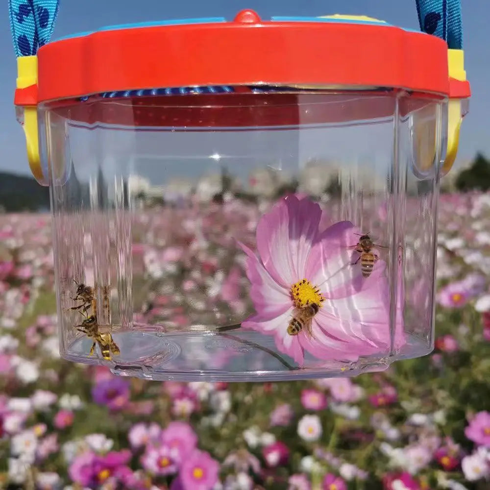 Insect Observation Box – Outdoor Biology Experiment Kit